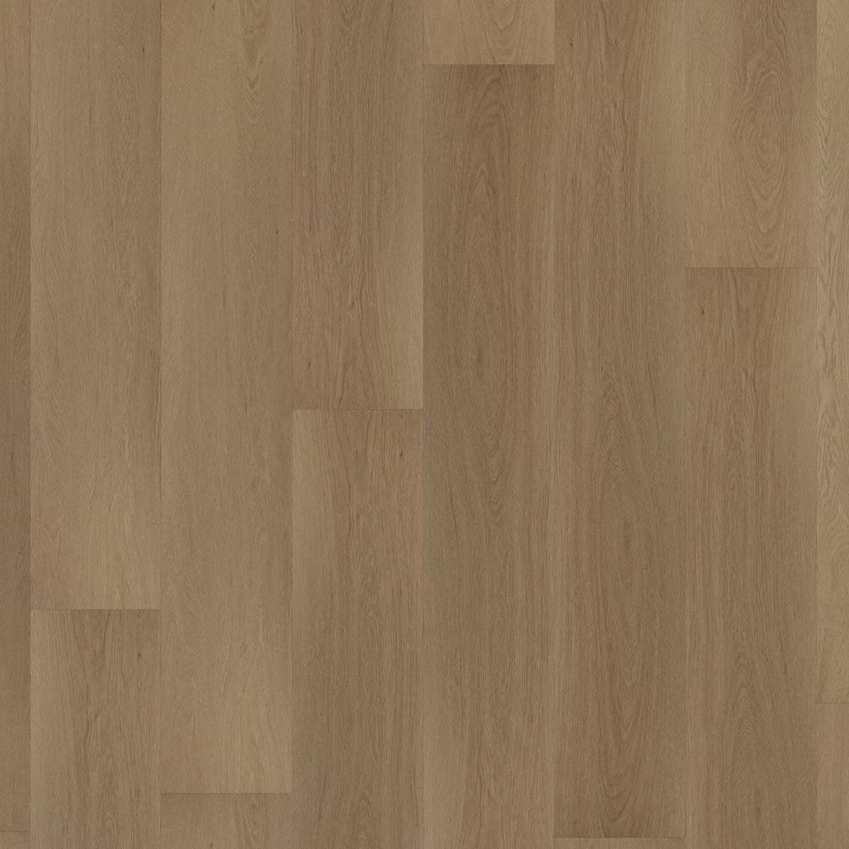 ROOM5 Regency Wood Rechte Stroken Click PVC 555-200107