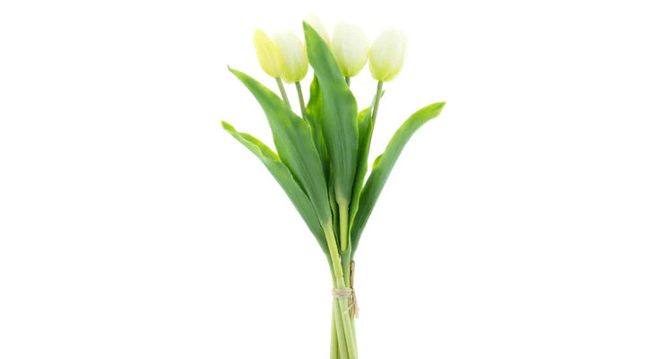 Tulpenboeket crème 5st