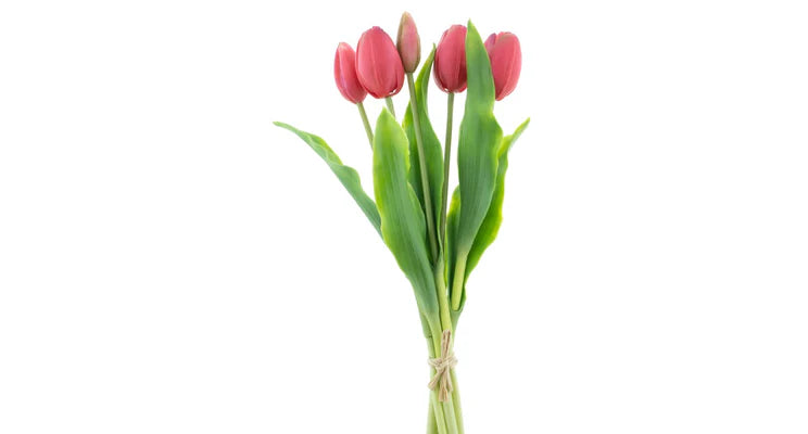 Tulpenboeket Beauty 5st