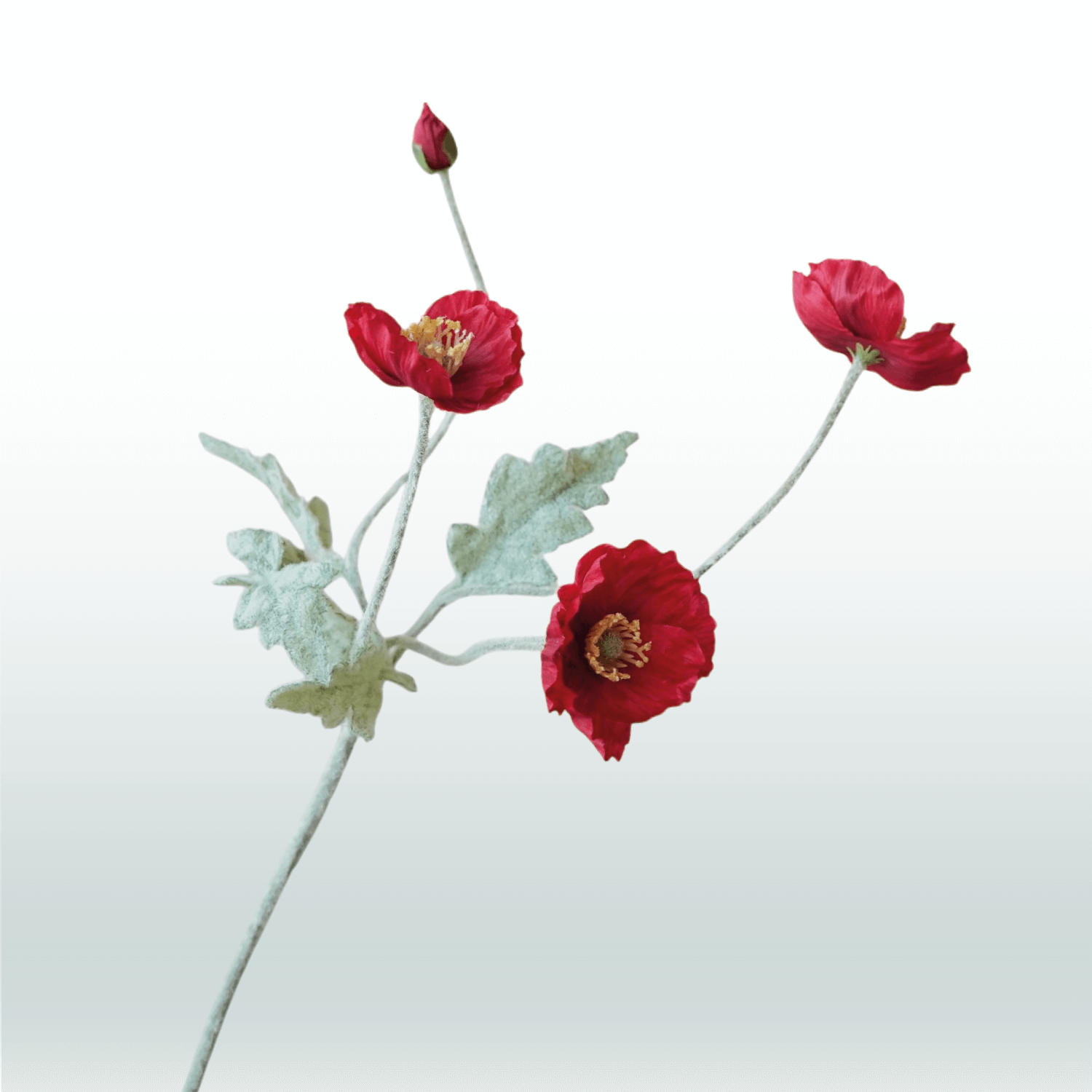 Klaproos (donker)rood 57cm