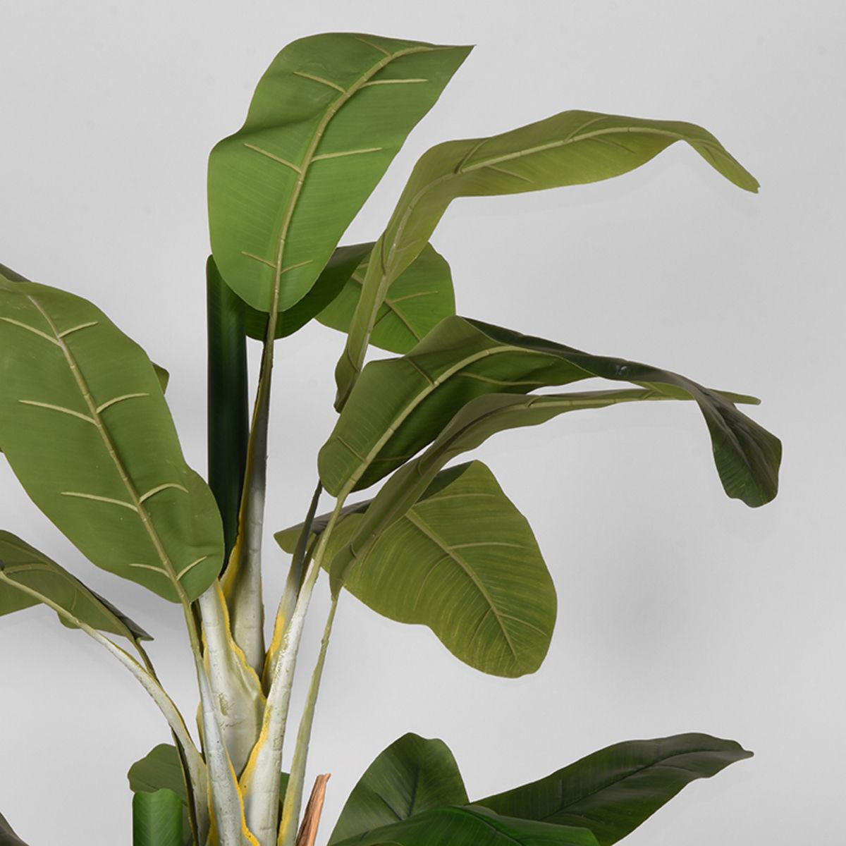 Kunstplant Musa