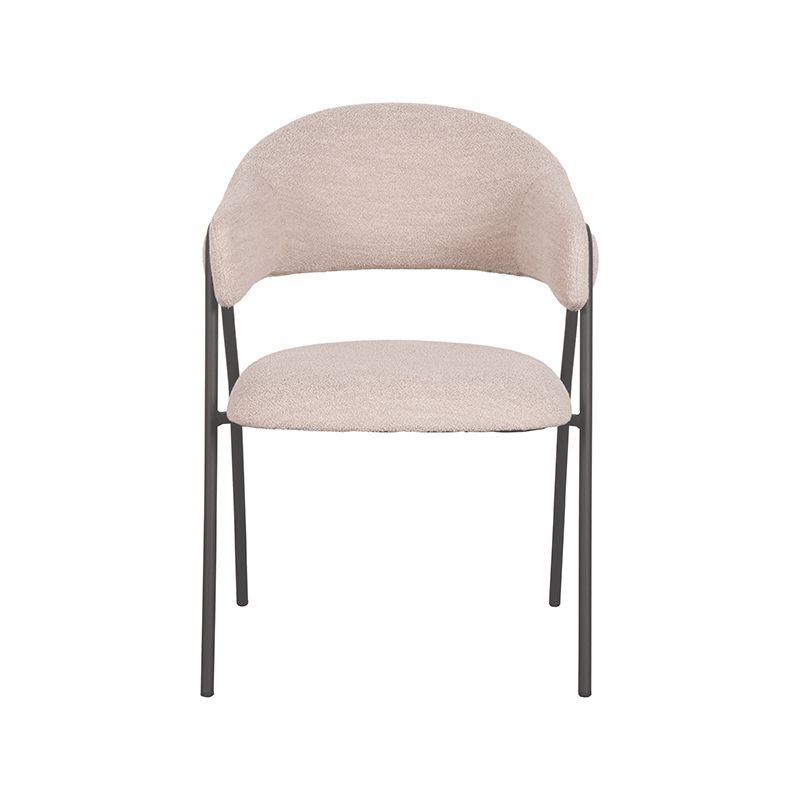 Eetkamerstoel Lowen | Diversdekleuren