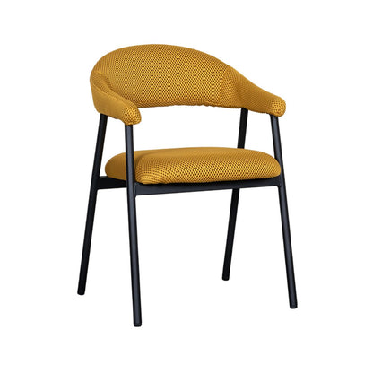 Eetkamerstoelen Amaze | verschillende kleuren