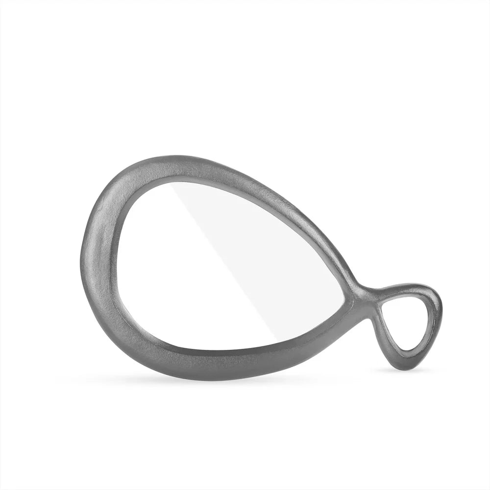 Spiegel Zilver Organisch