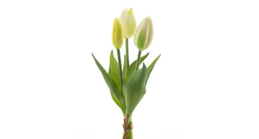 Tulpenboeket creme 3st