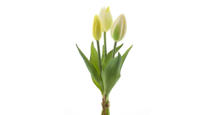 Tulpenboeket creme 3st