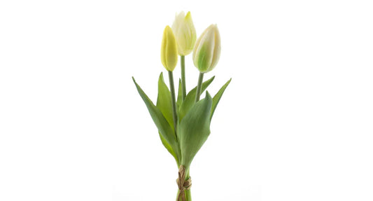 Tulpenboeket creme 3st
