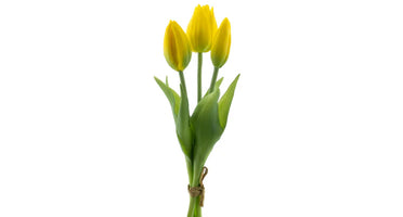 Tulpenboeket geel 3st