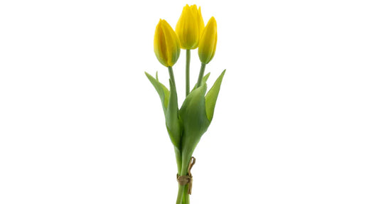 Tulpenboeket geel 3st