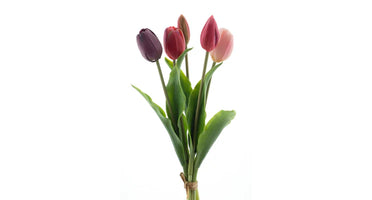 Tulpenboeket paars/beauty mix 5st