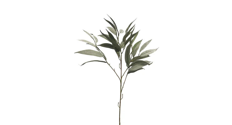 Mango leaf spray dusty green