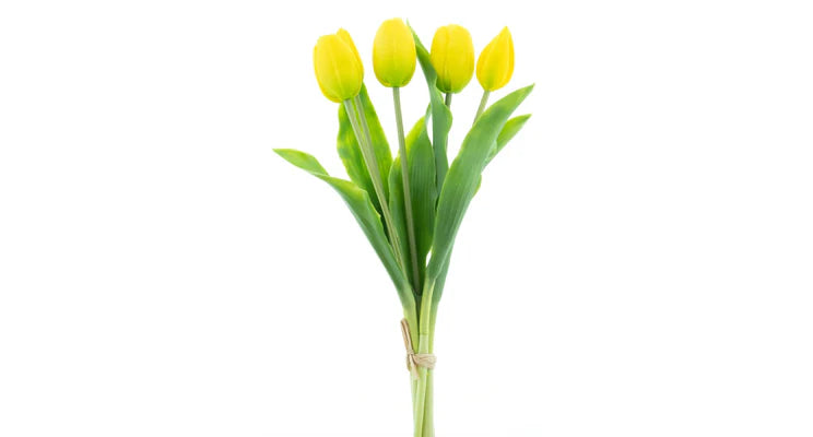 Tulpenboeket Geel 5st