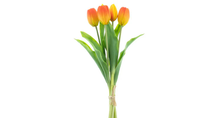 Tulpenboeket oranje 5st