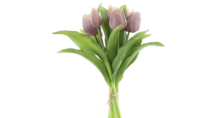 Tulip bouquet lavender 7 pcs