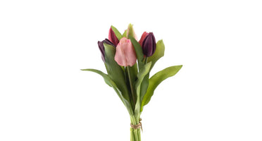 Tulpenboeket paars/beauty mix 7st