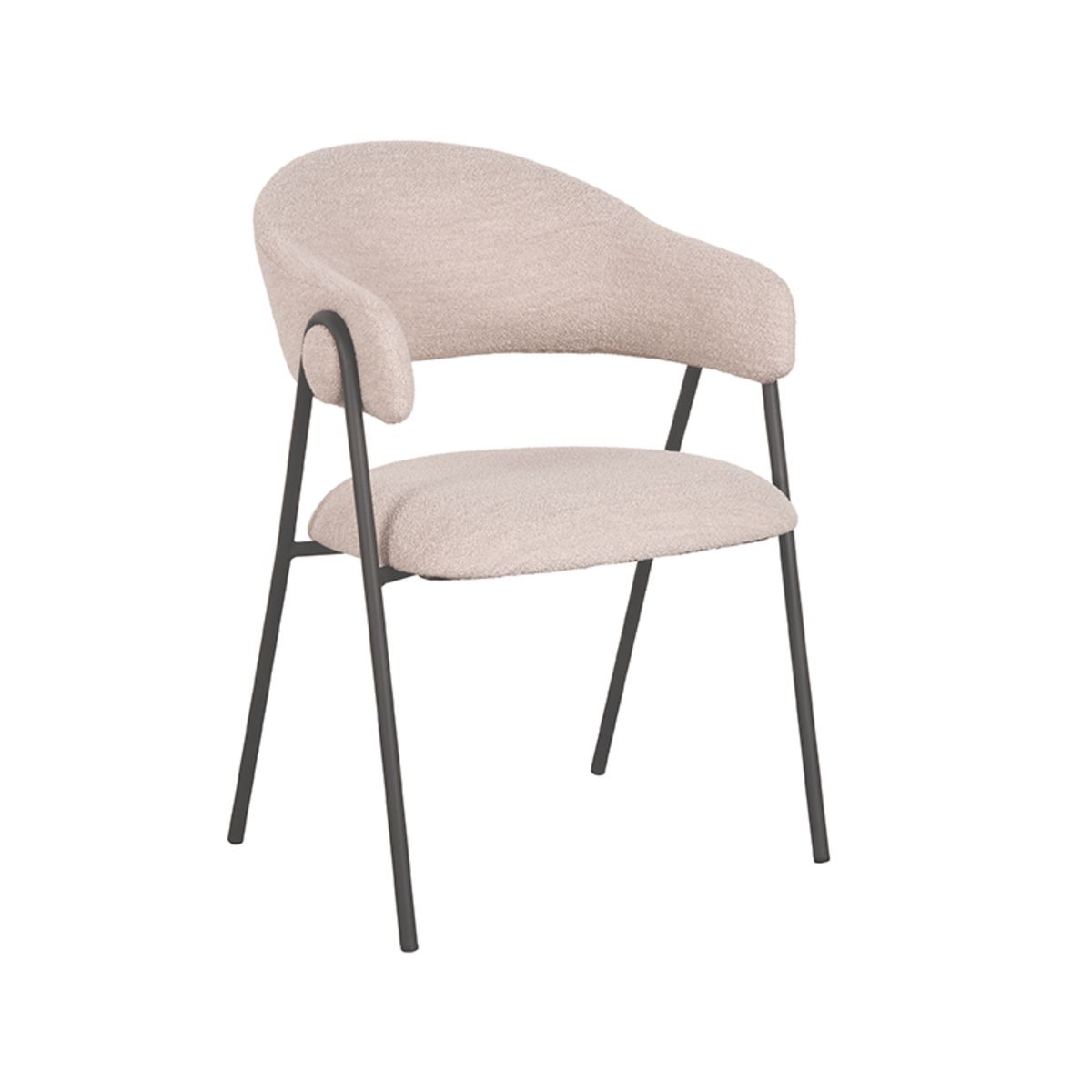 Eetkamerstoel Lowen | Diversdekleuren