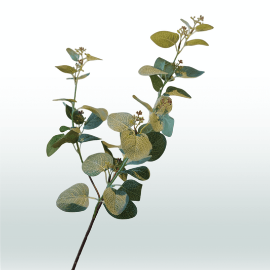 Eucalyptustak 70 cm groen