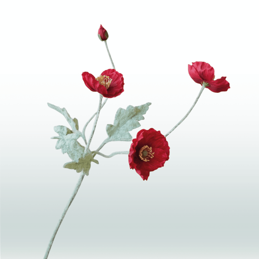 Klaproos (donker)rood 57cm