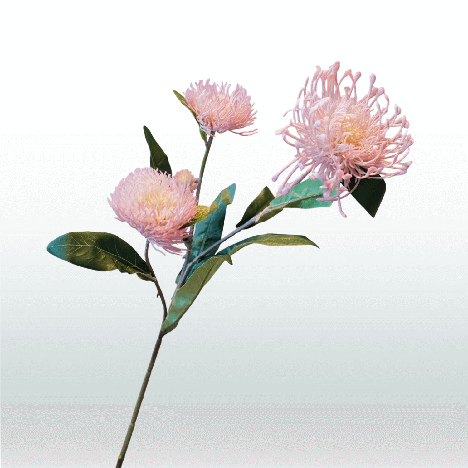 Nutans 64cm lichtroze