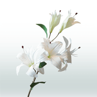 Tijgerlelie wit 98cm