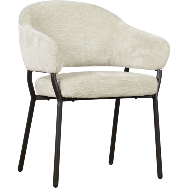 Eetkamerstoel Logan | diverse kleuren